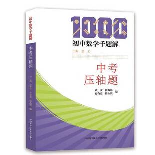 正版9成新图书丨 【内页干净】初中数学千题解：中考压轴题  成虎；徐森林；孙有进；徐心悦 9787312054792