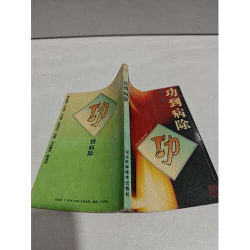 正版图书丨 功到病除  张昭原，李瑞岭编著 9787537512831