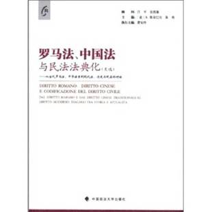 正版9成新图书丨 罗马法、中国法与民法法典化 费安玲主编 9787562039310