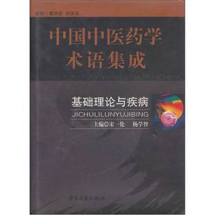 正版9成新图书丨 基础理论与疾病——中国中医药学术语集成 宋一伦,杨学智主编;张慧,于红,费宇彤,刘峰,侯中伟,时宇静,禄