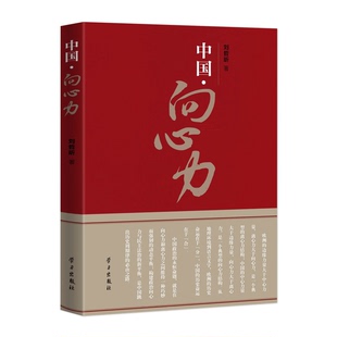 正版9成新图书丨 中国 向心力  刘哲昕 9787514711356