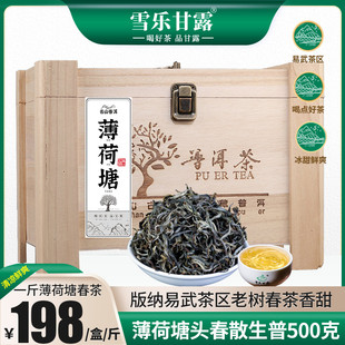 薄荷塘2024春茶生普500g礼盒装茶叶云南普洱茶生茶易武茶香高品质