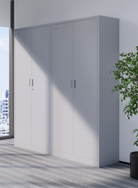 科飞亚(COFAR)-飞翔系列整装通门文件柜W900mm*D390mm*H1850m