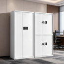 科飞亚电子保密柜钢制密码 柜文件柜加厚档案柜办公柜储物柜国保锁