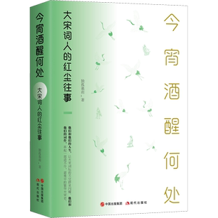 今宵酒醒何处 大宋词人的红尘往事 独孤慕雨 著 人物/传记其它文学 新华书店正版图书籍 现代出版社