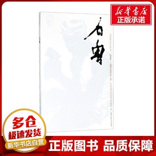 中國近現代美術經典 著作 新華書店正版 圖書籍 魏祥奇 傳記其它藝術 石魯 巨擘傳世——近現代中國畫大家 叢書 人物