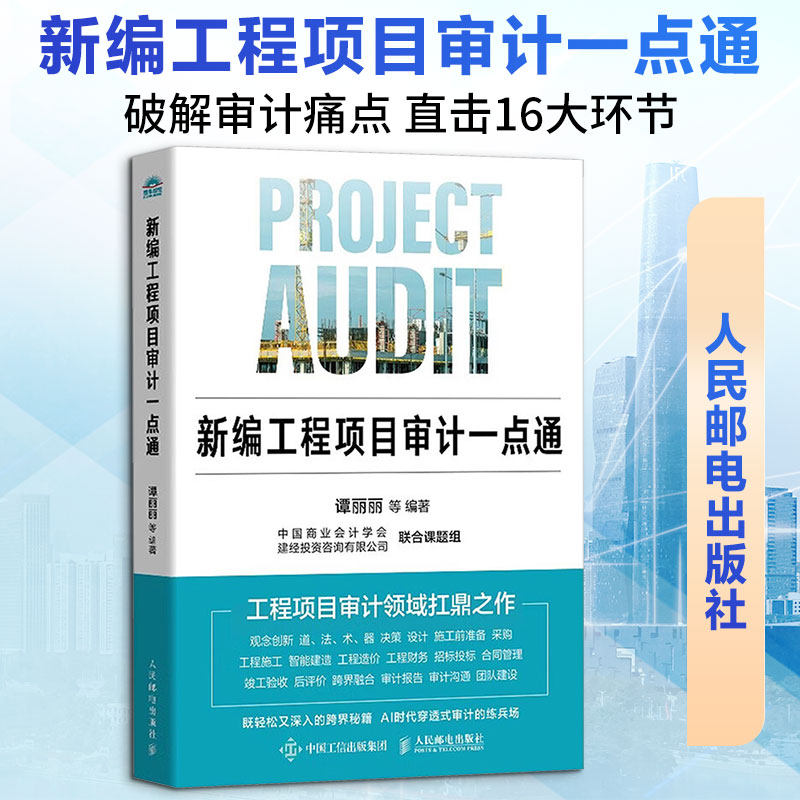 新编工程项目审计一点通 谭丽丽 等 编著 编 统计 审计经管、励志 新华书店正版图书籍 人民邮电出版社