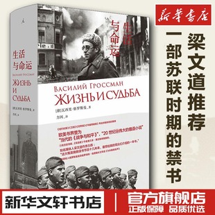 生活与命运 (俄罗斯)瓦西里·格罗斯曼 著 力冈 译 现代/当代文学文学 新华书店正版图书籍 四川人民出版社