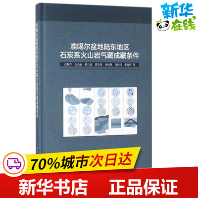 准噶尔盆地陆东地区石炭系火山岩气藏成藏条件 张顺存 等 著 石油 天然气工业专业科技 新华书店正版图书籍 科学出版社