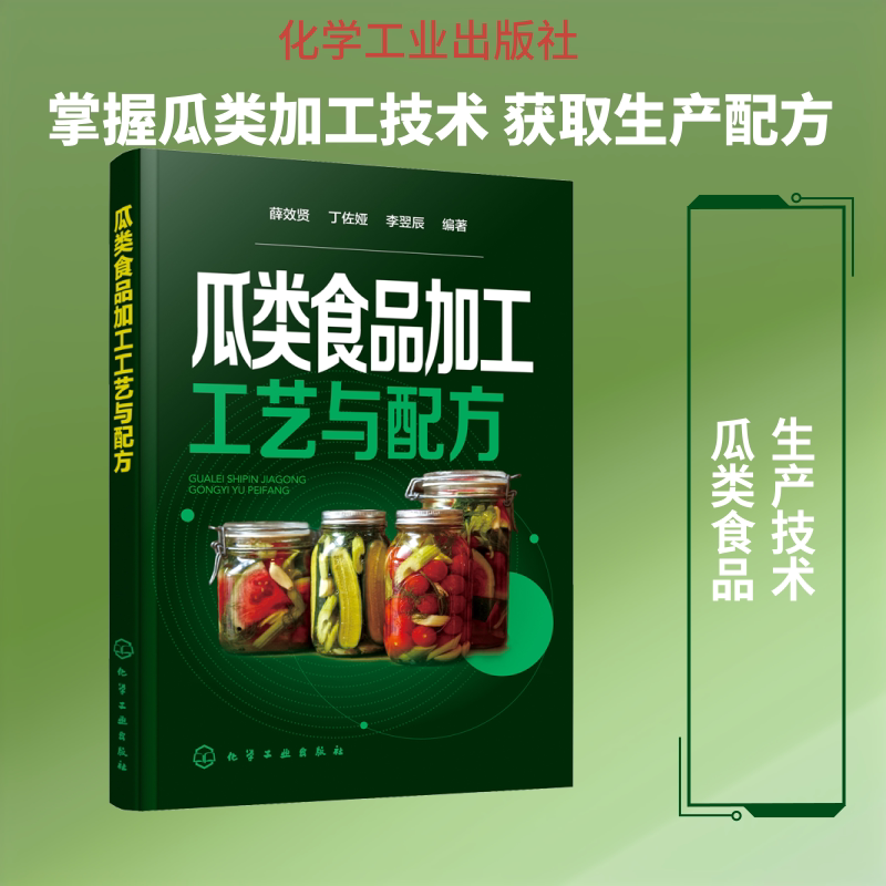 瓜类食品加工工艺与配方 薛效贤,丁佐娅,李翌辰 著 轻工业/手工业专业科技 新华书店正版图书籍 化学工业出版社