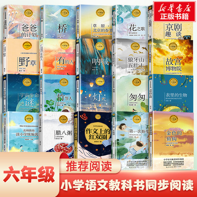 小学语文同步阅读系列六年级