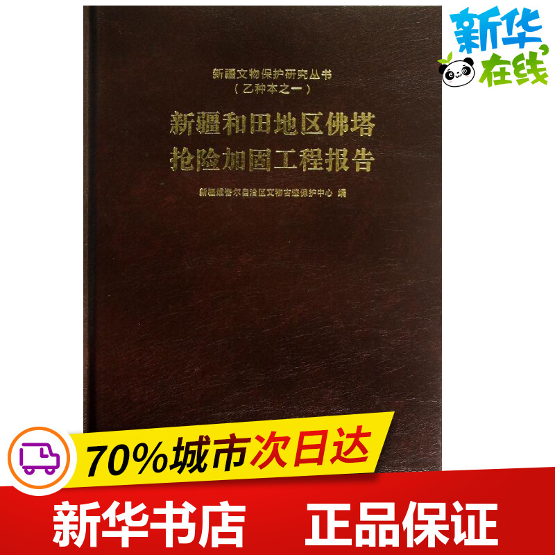 新疆和田地区佛塔抢险加固工程报告 新疆维吾尔自治区文物古迹保护中心 编 著作 建筑/水利（新）专业科技 新华书店正版图书籍
