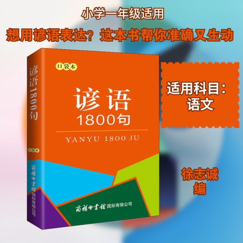 新华书店正版 小学基础知识