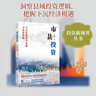 市县投资 下沉区域经济发展与投资逻辑 于智超 著 经济理论经管、励志 新华书店正版图书籍 上海远东出版社