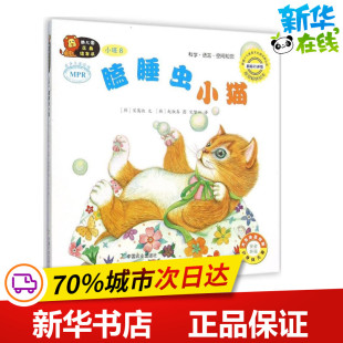 赵淑真 其它儿童读物少儿 瞌睡虫小猫 著作 译 图;宋智兴 文; 宋英淑 韩 小班.8 幼儿园区角绘本书韩国引进版