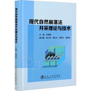 现代自然崩落法开采理论与技术 刘育明 编 矿业技术大中专 新华书店正版图书籍 冶金工业出版社