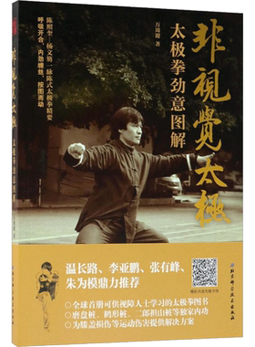 非视觉太极:太极拳劲意图解 万周迎 著 体育运动(新)文教 新华书店正版图书籍 北京科学技术出版社