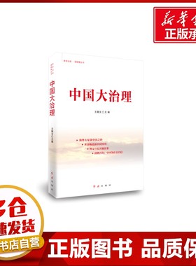 中国大治理 王朝文 著 金融投资经管、励志 新华书店正版图书籍 红旗出版社