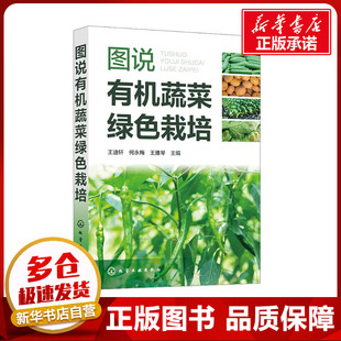 王雅琴 编 化学工业出版 王迪轩 社 图书籍 何永梅 新华书店正版 图说有机蔬菜绿色栽培 农业基础科学专业科技