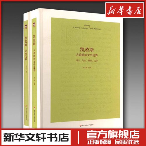 新华书店正版 外国文学理论
