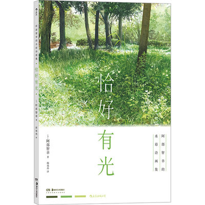 恰好有光 阿部智幸的水彩诗画集 (日)阿部智幸 著 郎旭冉 译 绘画（新）艺术 新华书店正版图书籍 湖南美术出版社