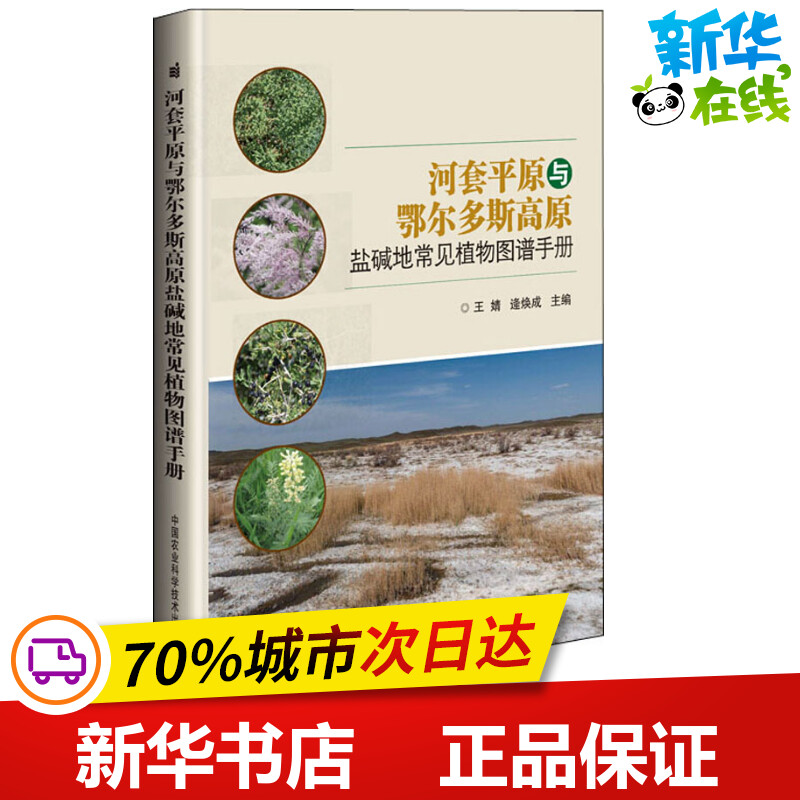 河套平原与鄂尔多斯高原盐碱地常见植物图谱手册 王婧，逄焕成 著 王婧,逄焕成 编 航空航天专业科技 新华书店正版图书籍