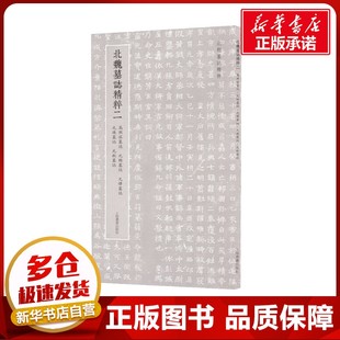 上海书画出版 高照容墓志 瑛墓志 北魏墓志精粹2 社 篆刻 贿墓志 书法 元 字帖书籍艺术 怿墓志 编 巶墓志