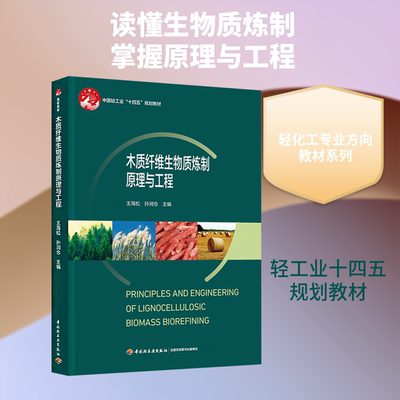 木质纤维生物质炼制原理与工程（中国轻工业“十四五”规划教材） 王海松,孙润仓 主编;肖领平 等 副主编 大学教材大中专