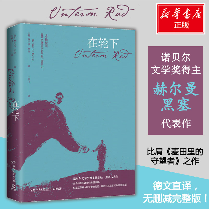 在轮下 (德)赫尔曼·黑塞(Hermann Hesse) 著 朱雁飞 译 外国小说文学 新华书店正版图书籍 湖南文艺出版社图片