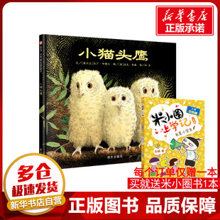 小猫头鹰/信谊世界精选图画书 (爱尔兰)马丁·韦德尔 著 林良 译 [英] 派克·宾森 绘 儿童文学少儿 新华书店正版图书籍