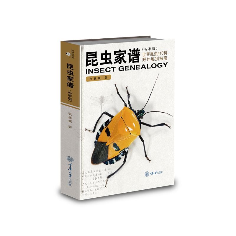 昆虫家谱：世界昆虫410科野外鉴别指南（标准版） 张巍巍 著 动物专业科技 新华书店正版图书籍 重庆大学出版社