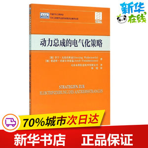 动力总成的电气化策略