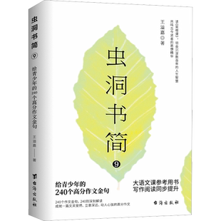 虫洞书简 9给青少年的240个高分作文金句 大语文推荐用书 写作阅读同步提升  满分作文高考作文