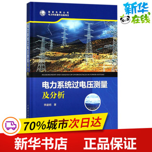 电力系统过电压测量及分析 李建明 著 电工技术/家电维修专业科技 新华书店正版图书籍 中国电力出版社