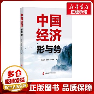 图书籍 社 邸俊鹏 金融投资经管 励志 著 张兆安 邵晓翀 上海社会科学院出版 中国经济 新华书店正版 形与势