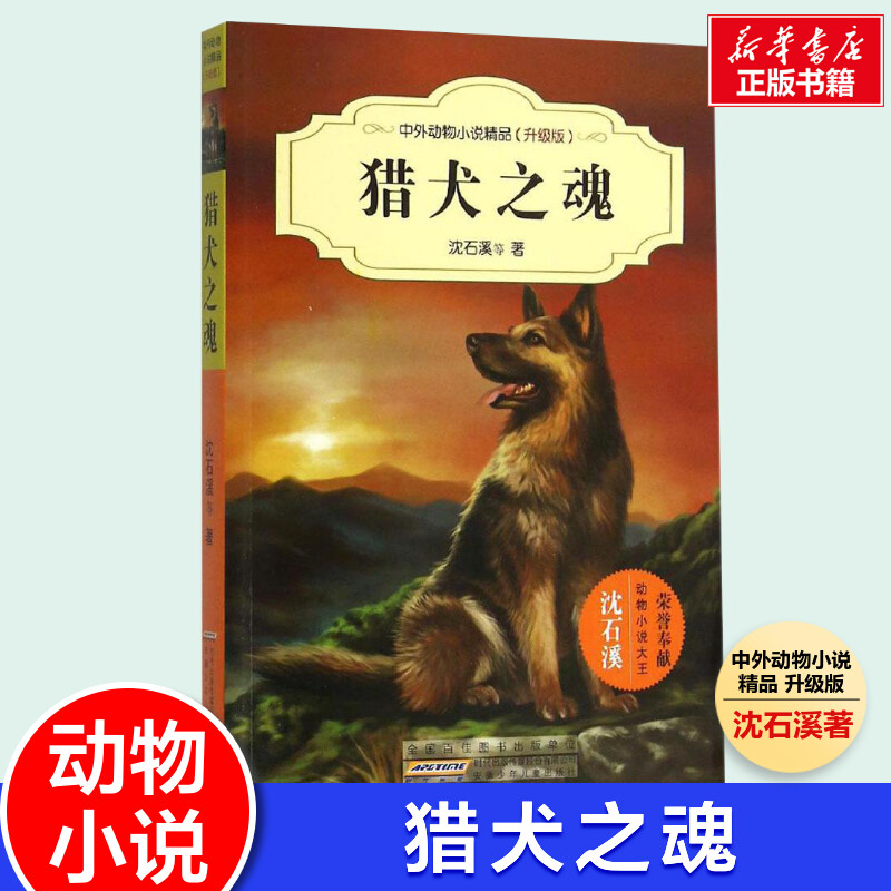 新华书店正版 儿童文学