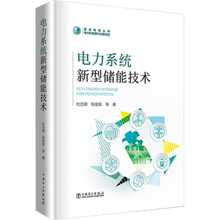 电力系统新型储能技术 杜忠明 等 著 电工技术/家电维修专业科技 新华书店正版图书籍 中国电力出版社