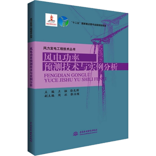 风电功率预测技术与实例分析 王桓,徐龙博 编 电工技术/家电维修专业科技 新华书店正版图书籍 中国水利水电出版社