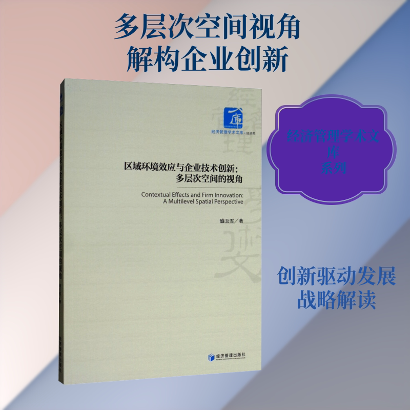 区域环境效应与企业技术创新:多层次空间的视角 盛玉雪 著 社会科学其它经管、励志 新华书店正版图书籍 经济管理出版社