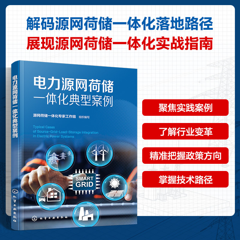 电力源网荷储一体化典型案例 源网荷储一体化专家工作组 组织编写 编 能源与动力工程专业科技 新华书店正版图书籍