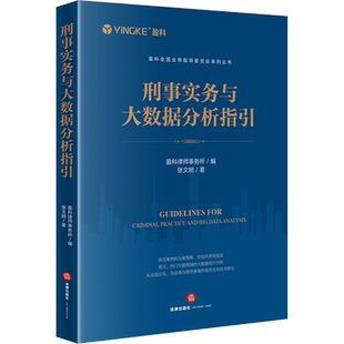 刑事实务与大数据分析指引 张文明 著 盈科律师事务所 编 司法案例/实务解析社科 新华书店正版图书籍 法律出版社
