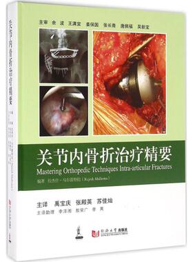 关节内骨折治疗精要 (印)拉杰什·马尔霍特拉(Rajesh Malhotra) 编著；禹宝庆,张殿英,苏佳灿 主译 外科学生活