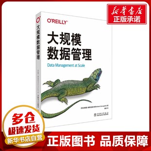 大规模数据管理 (荷)皮特因·施特伦霍尔特(Piethein Strengholt) 著 戴伟 译 数据库专业科技 新华书店正版图书籍