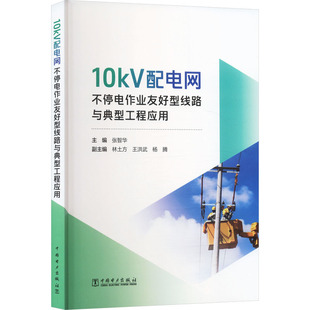 10KV配电网不停电作业友好型线路与典型工程应用 张智华 主编;林土方,王洪武,杨腾 副主编 编 建筑/水利(新)专业科技