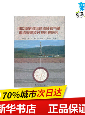 川中须家河组低渗砂岩气藏渗流规律及开发机理研究 高树生 等 著作 石油 天然气工业专业科技 新华书店正版图书籍 石油工业出版社