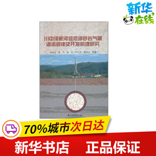 川中须家河组低渗砂岩气藏渗流规律及开发机理研究 高树生 等 著作 石油 天然气工业专业科技 新华书店正版图书籍 石油工业出版社