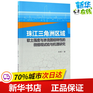 珠江三角洲区域软土强度与渗流固结特性的微细观试验与机理研究 周晖 著 生命科学/生物学专业科技 新华书店正版图书籍