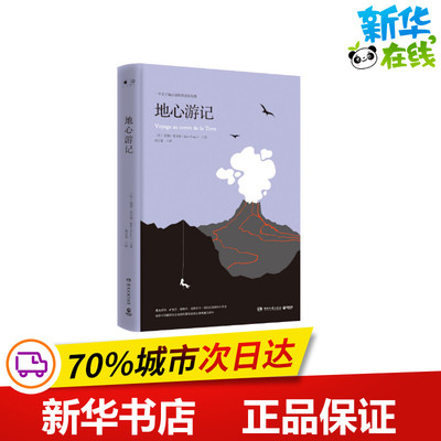 地心游记/儒勒.凡尔纳 （法）儒勒·凡尔纳（JulesVerne） 著 胡宗泰 译 科幻小说文学 新华书店正版图书籍 湖南文艺出版社