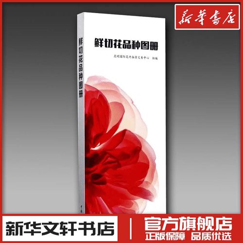 新华书店正版 生活休闲