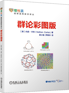 群论彩图版 内森 卡特 郭小强 罗翠玲 初级课程 观察魔方 晶体学 数字群 代数定义 青少年数列微积分解析几何数学建模趣味数学学习